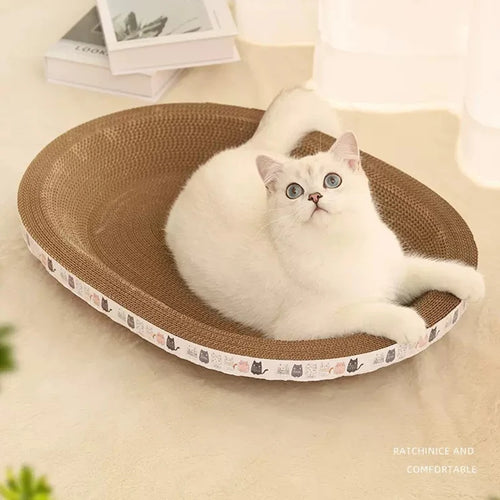 Planche à Griffer de Haute Qualité pour Chats
