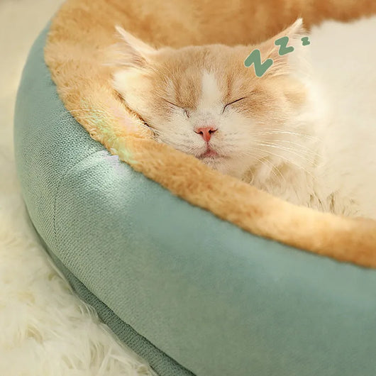 Panier Confort pour Chat