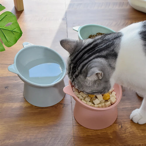 Bol Élégant en Céramique pour Chats