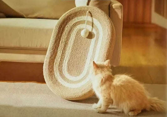 Tapis-Lit à Gratter avec Boule de Jeu pour Chat