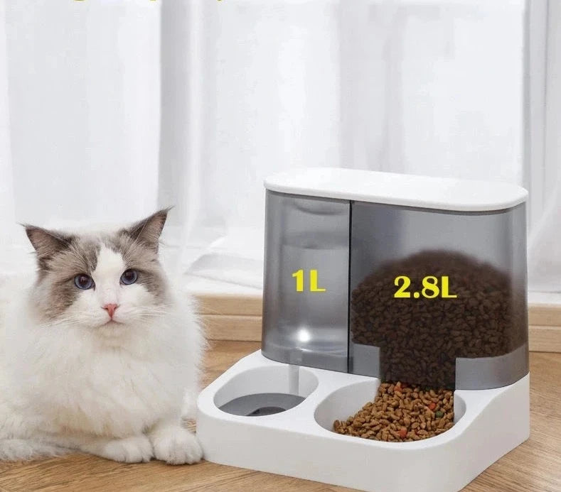 Distributeur de Croquettes avec Réserve d'Eau Chat