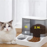 Distributeur de Croquettes avec Réserve d'Eau Chat