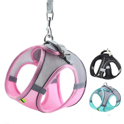 Laisse et Harnais Réglable pour Chat