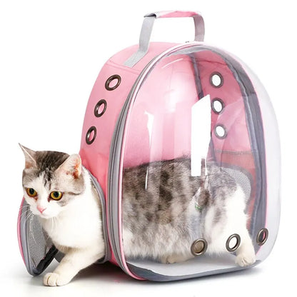 Hublot : Le Sac à Dos de Transport pour Chat