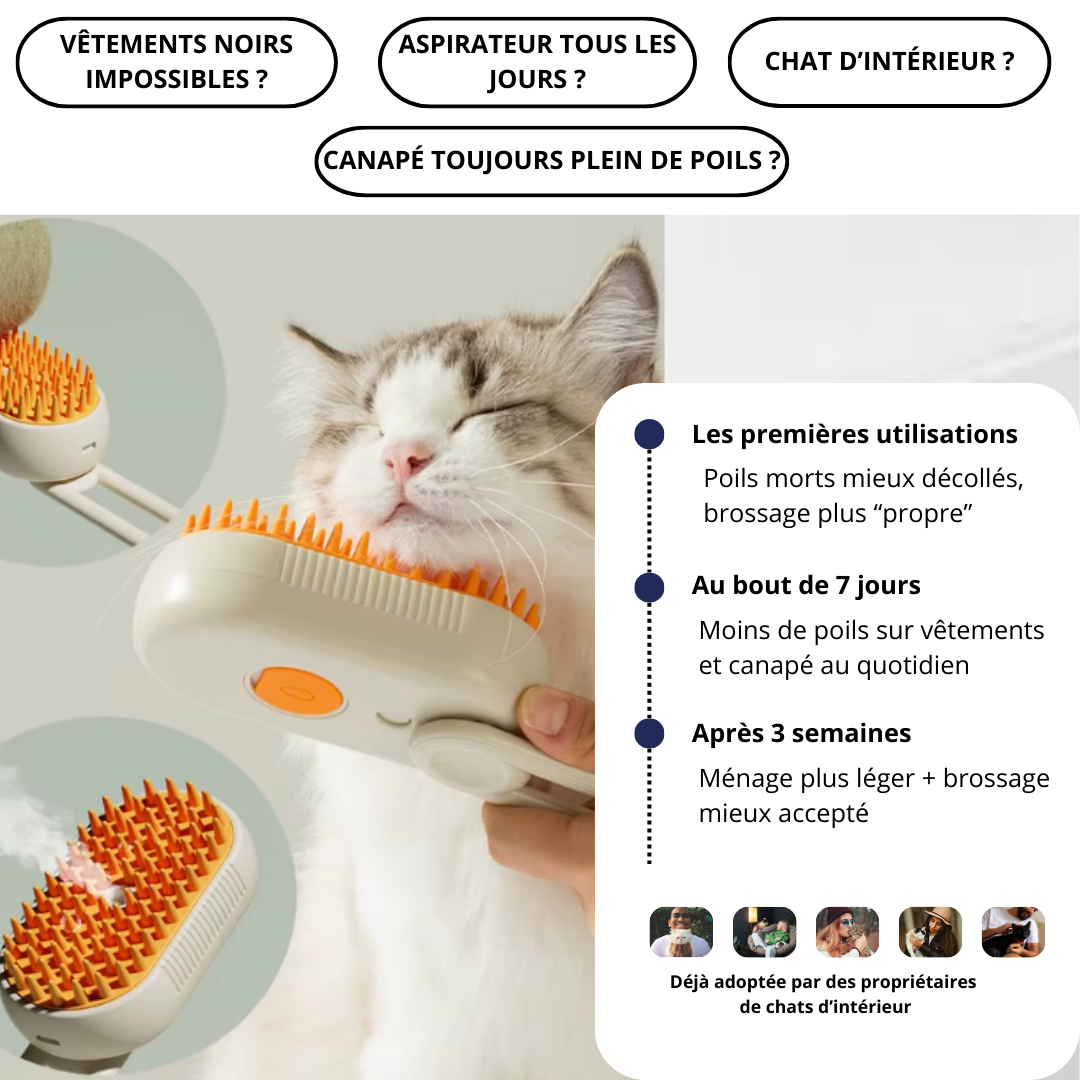 Brosse à vapeur pour chat