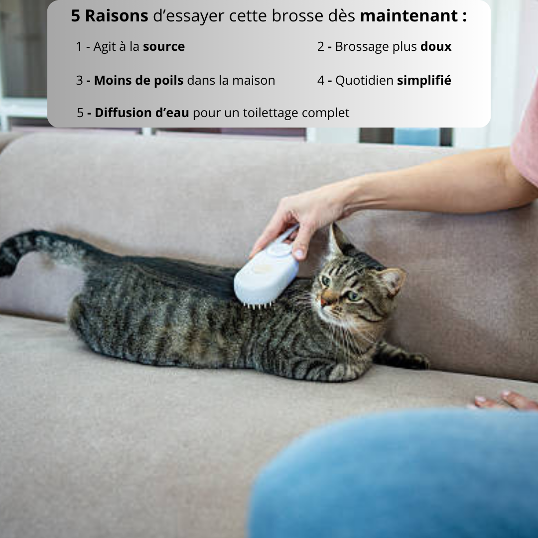 La brosse qui réduit les poils chez vous