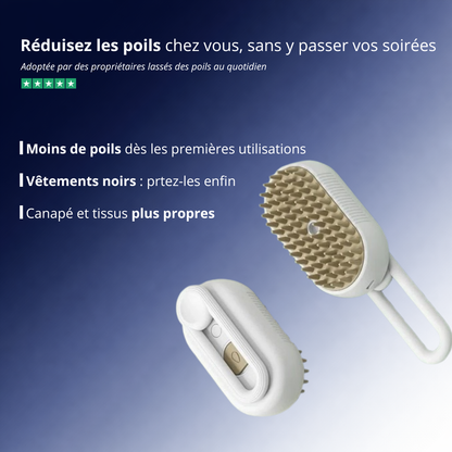 Brosse à vapeur pour chat