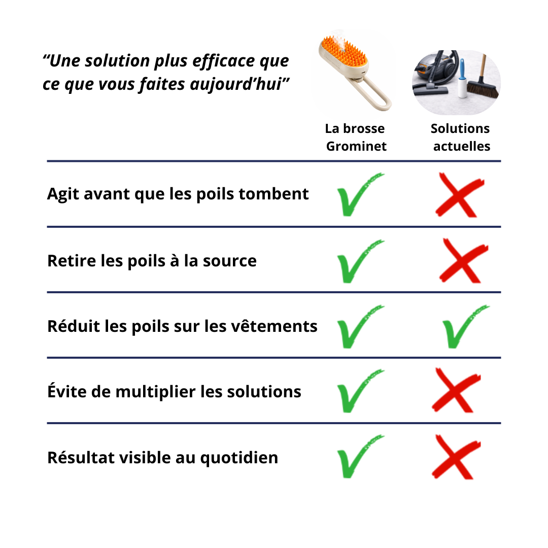 Brosse à vapeur pour chat