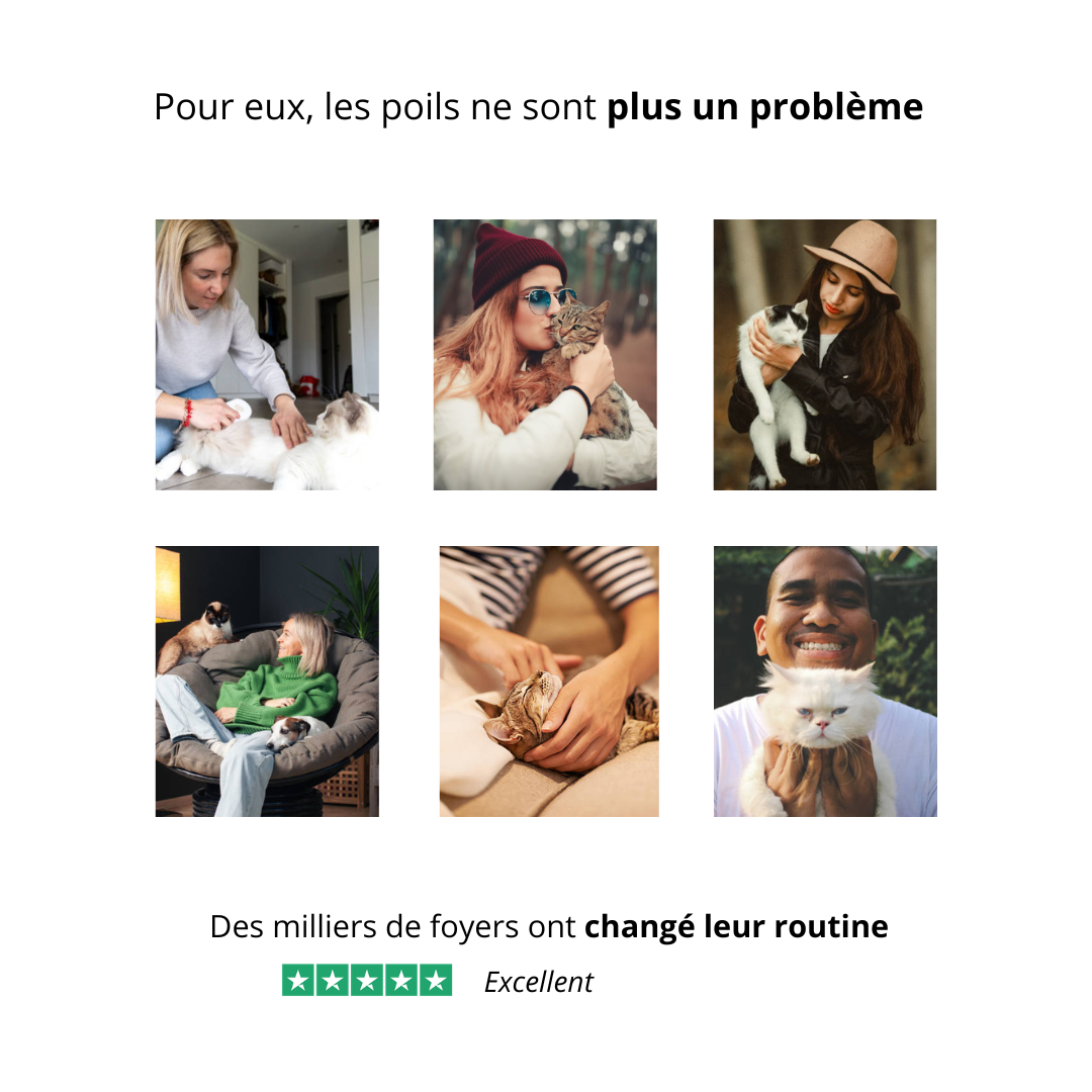 Brosse à vapeur pour chat