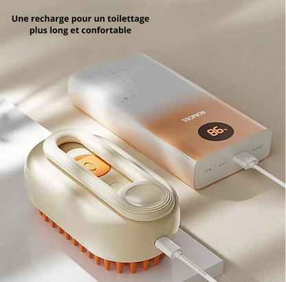 Brosse à vapeur pour chat