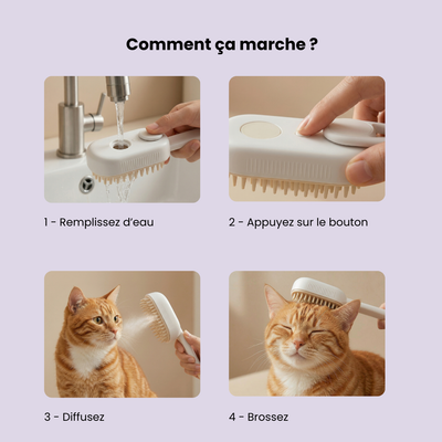 La SteamBrush™