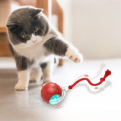 Balle Roulante Interactive pour Chat