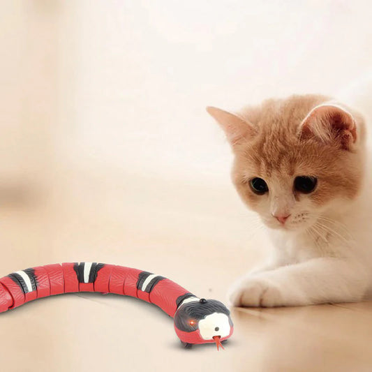 Smart Snake : jouet interactif