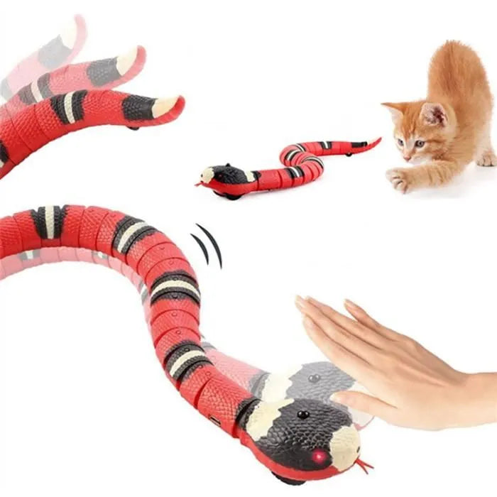 Smart Snake : jouet interactif